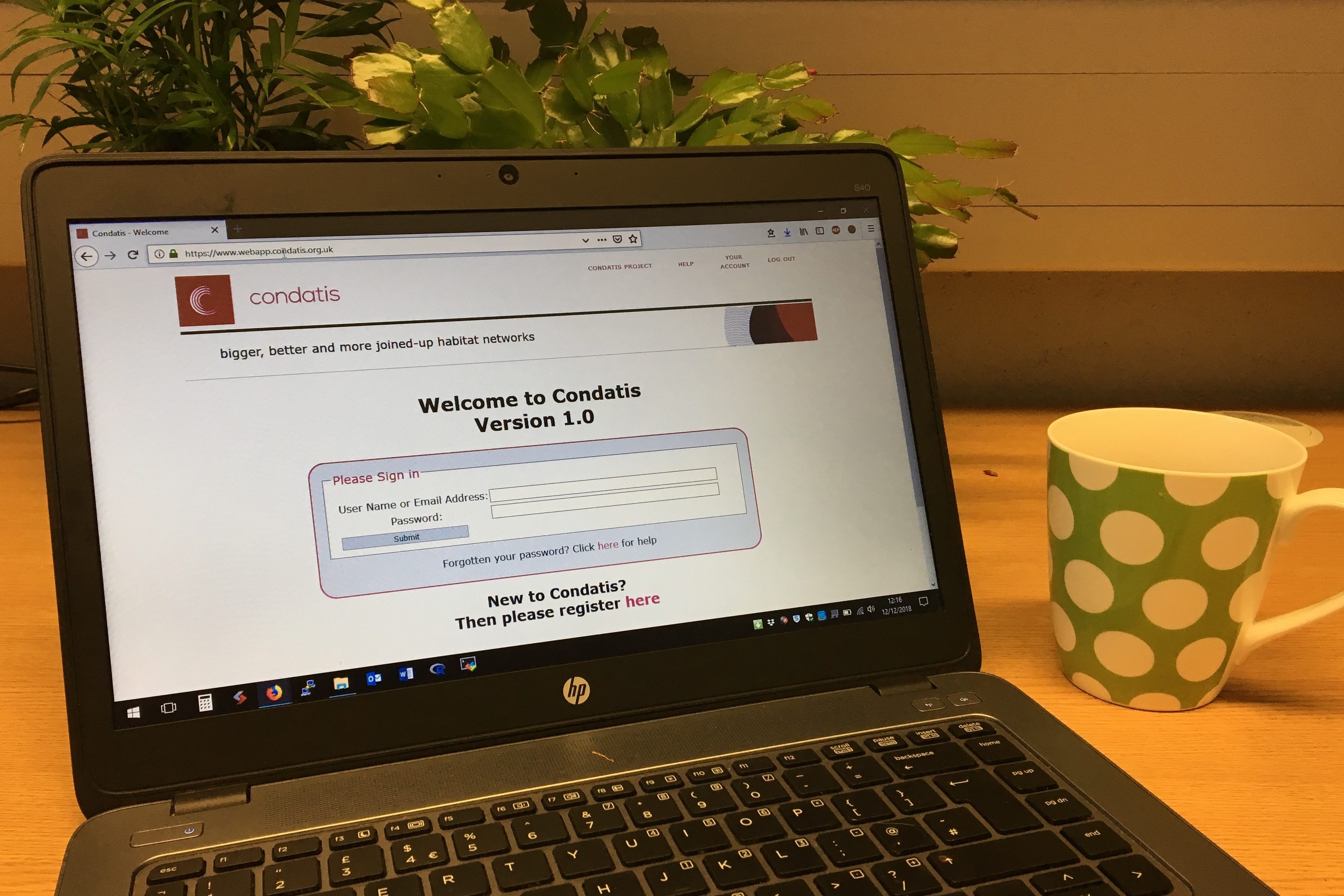 Condatis 1.0 is online!