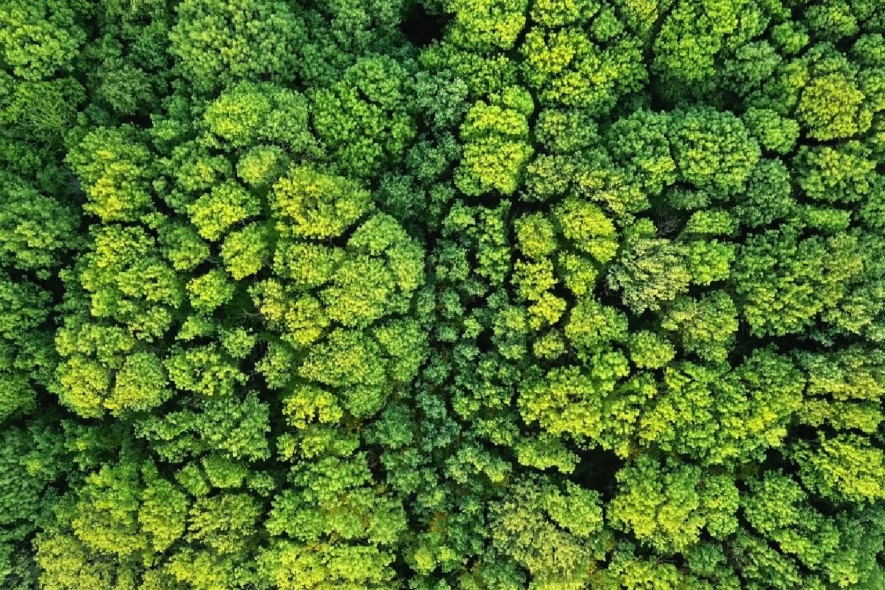 Elusive species face the greatest threat from human land use