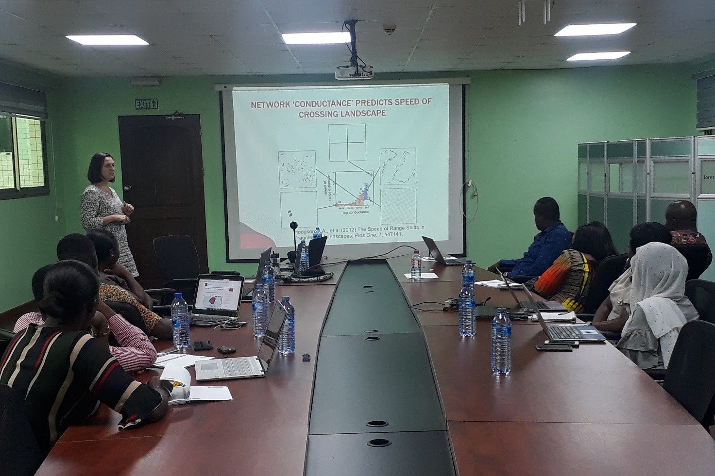 Condatis in the Krokosua Hills, Ghana