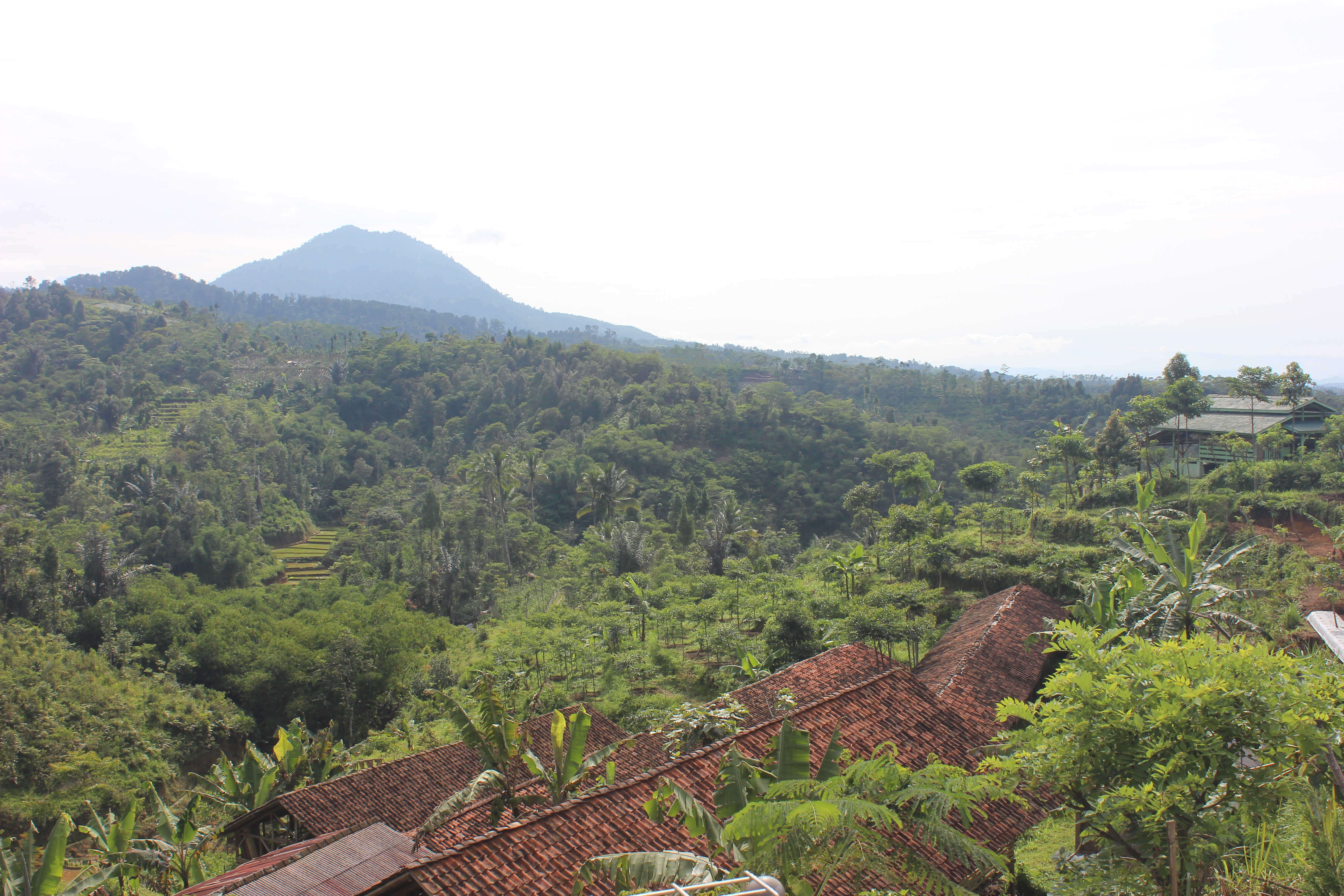 New Condatis reports online – Supporting ecological networks in rapidly developing, biodiverse countries